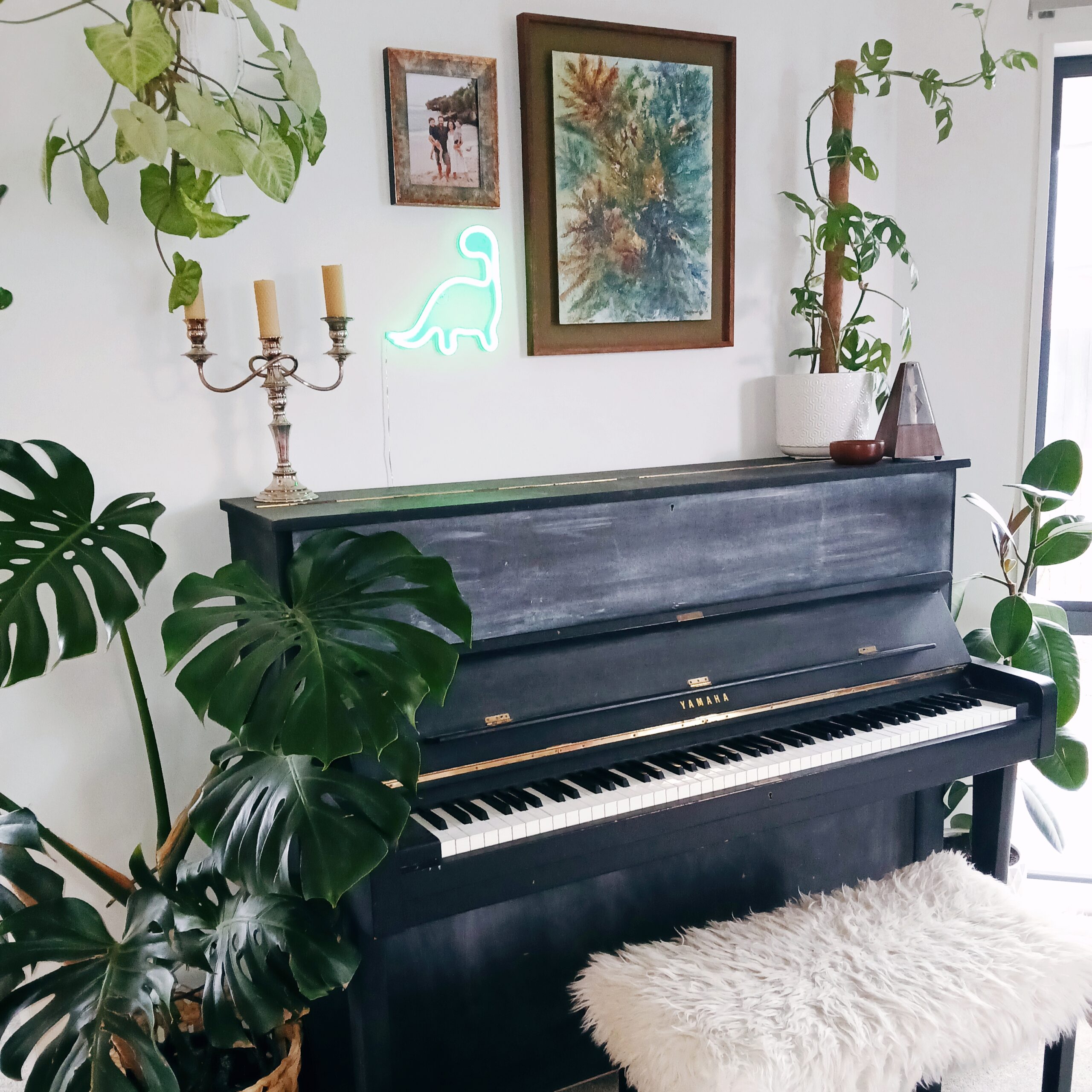 Music Lessons in Christchurch