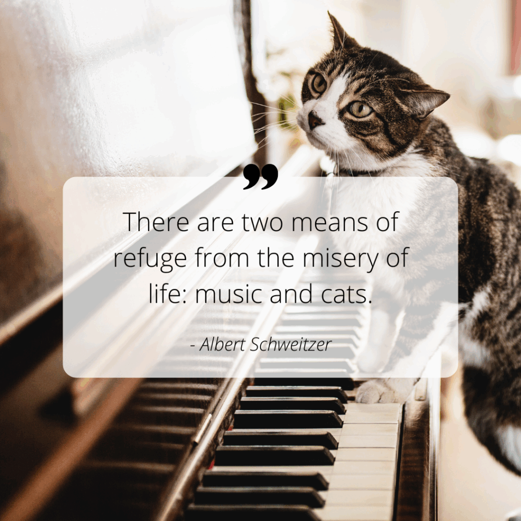Music Quote by Albert Schweitzer