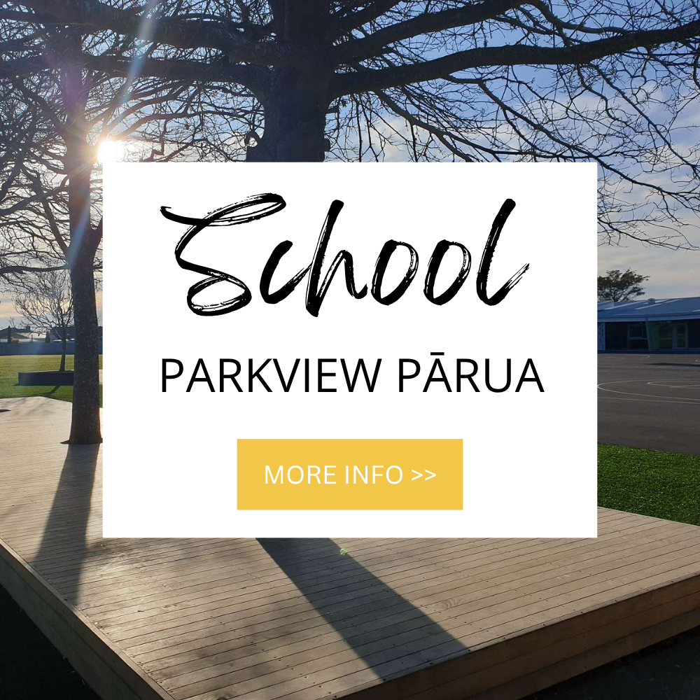 Music Lessons at Parkview School