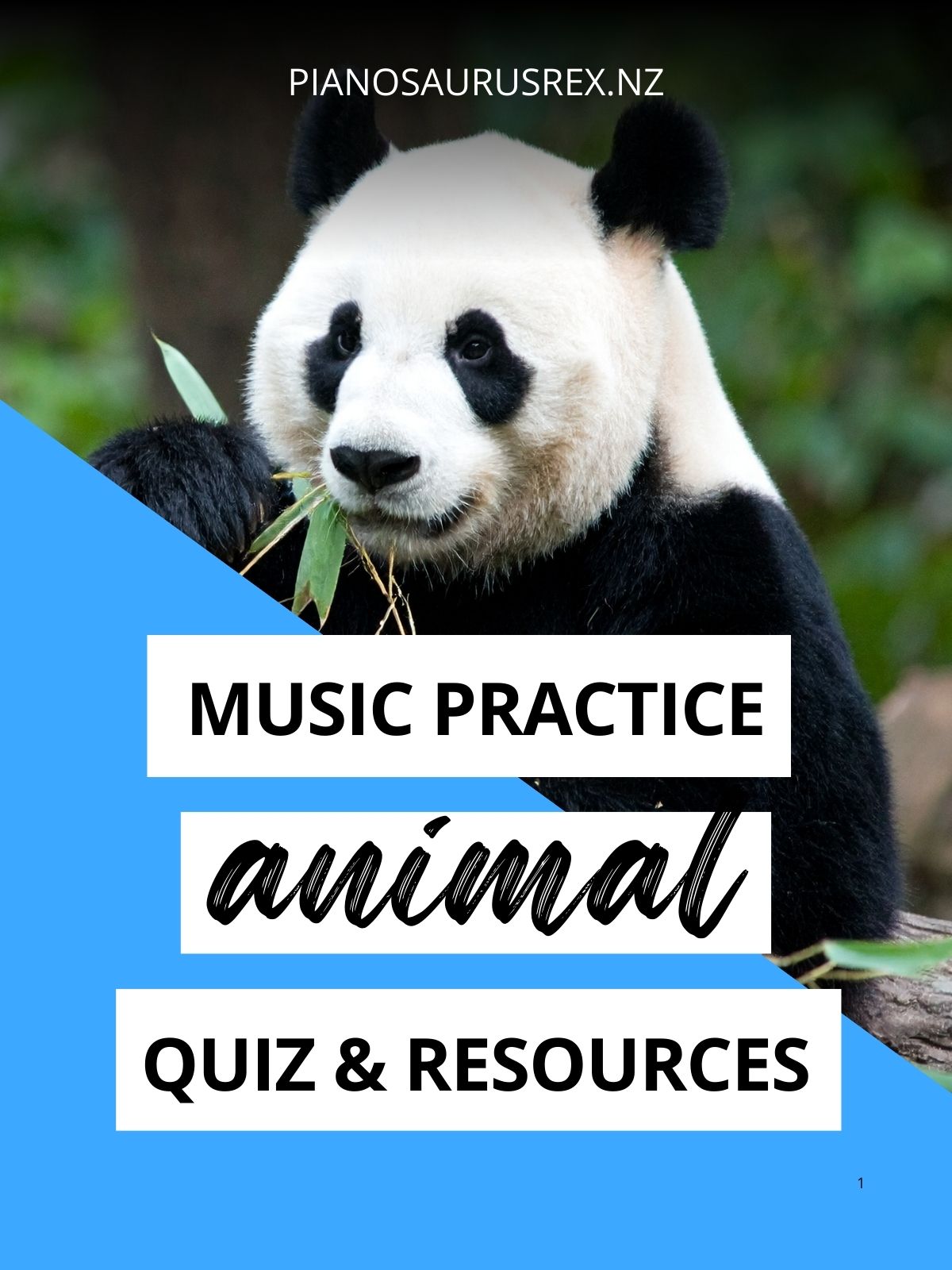Music Practice Animal Quiz